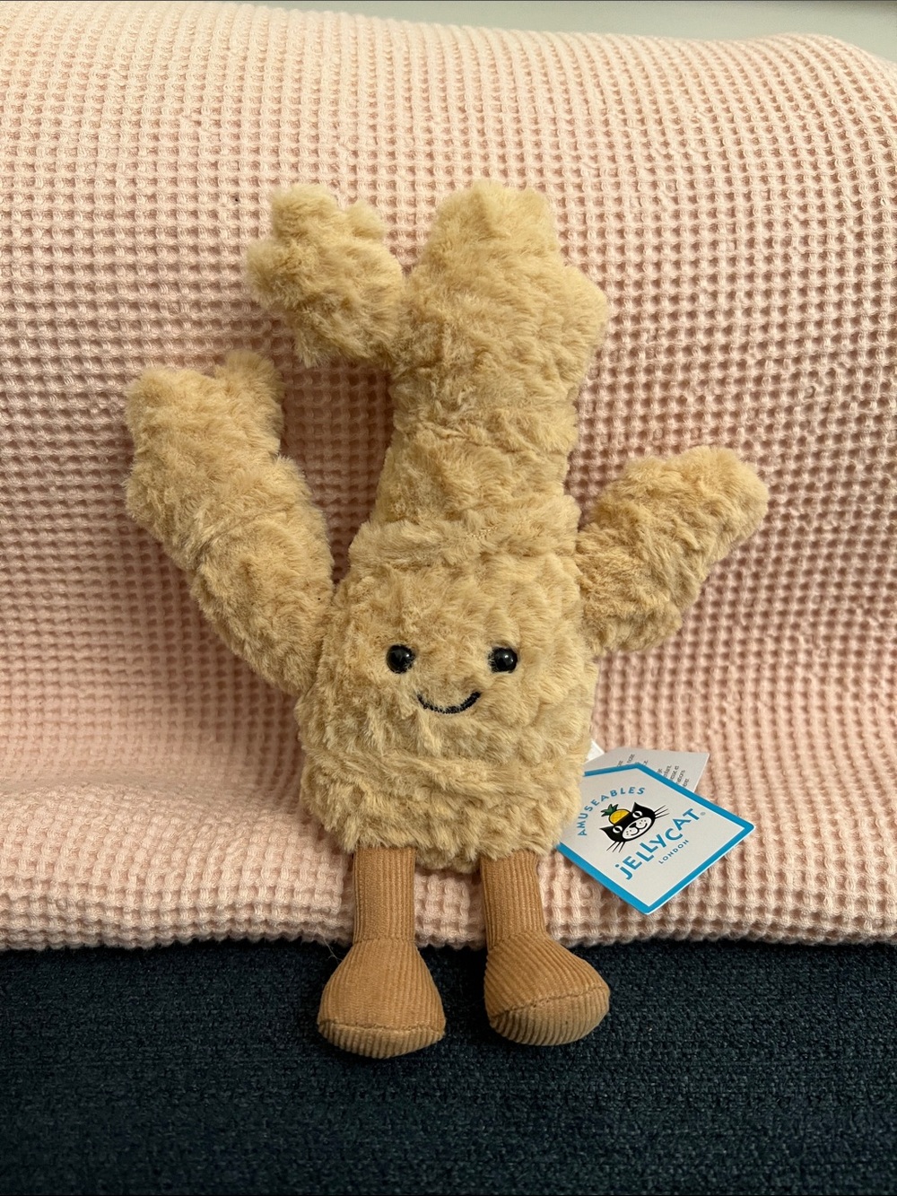 Jellycat Amuseables Ginger